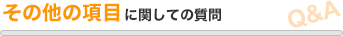 その他の項目に関しての質問